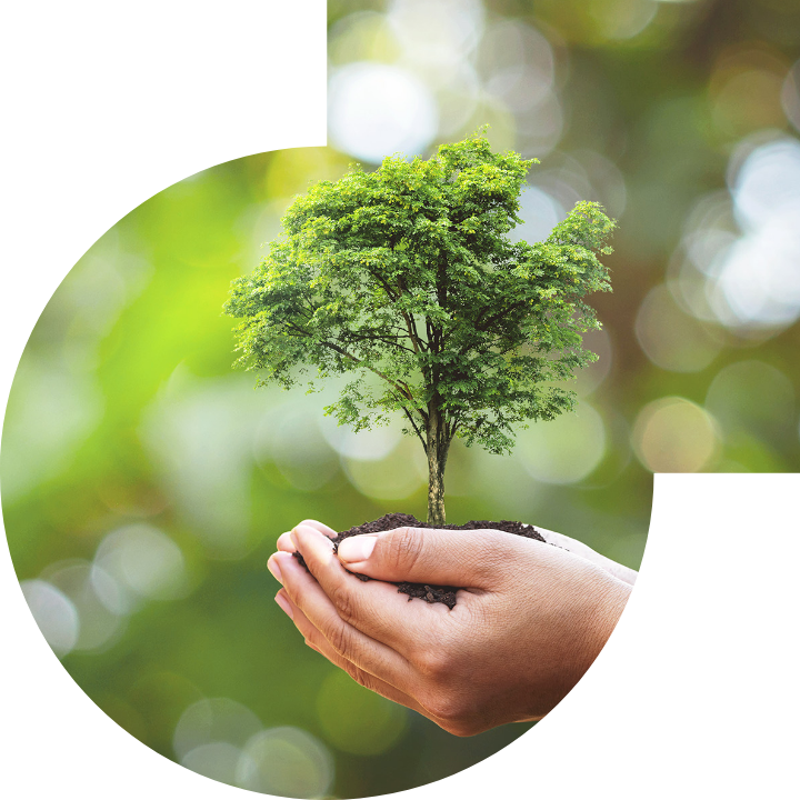 關懷人類、文化、環境與社會